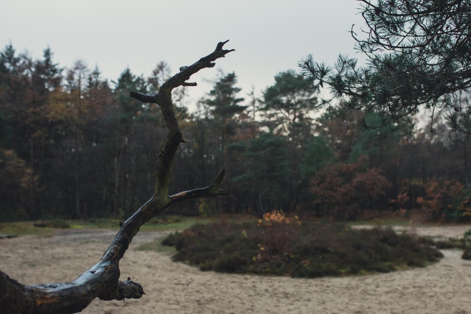 Drents Genieten - Kraaiheide Met Prive Jacuzzi Erm Exteriér fotografie